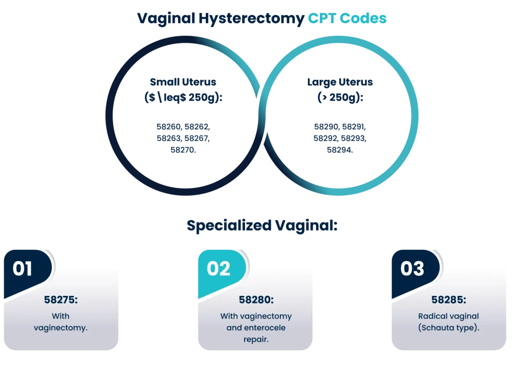 Infographic for Vaginal Hysterectomy CPT codes categorized by uterus size (≤ 250g or > 250g) and specialized procedures like vaginectomy.